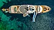 Motoryacht Bella - 