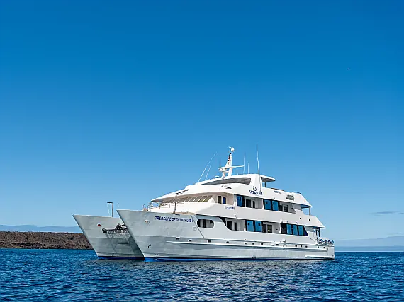 Catamaran - Treasure