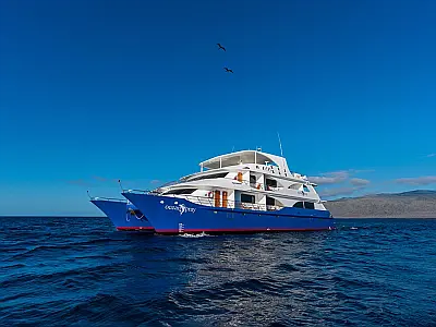 boat-image