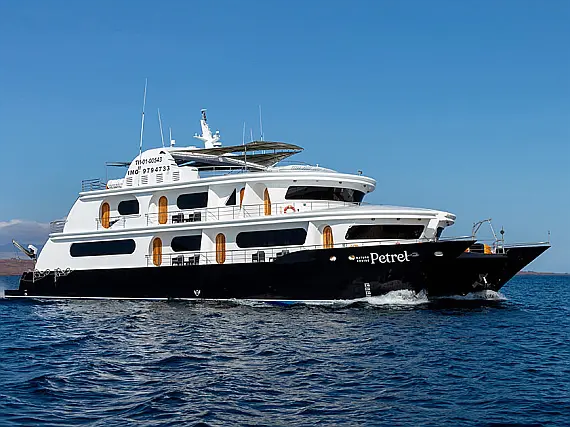 Power Cat - Petrel Cabin