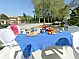 Royal Classique - 