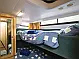 Royal Star WHS - 