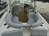 Sea Ray SLX 300 - Layout image