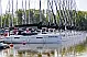 Maxus 34 - 