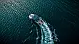 Tesoro T41 - 