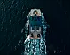 Tesoro T41 - 