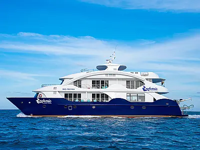 boat-image