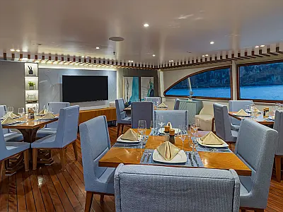 boat-image