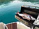 Sealine S38 - 