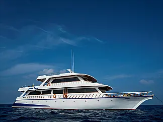 Conte Max - Cabin (twin bed) - External image