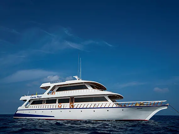 Conte Max - Cabin (triple-1 double bed + 1 single bed)