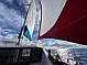 Leopard 40 - 