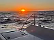 Leopard 40 - 