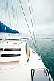 Leopard 40 - 