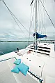 Leopard 40 - 