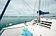Leopard 40 - 