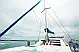 Leopard 40 - 