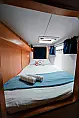 Leopard 40 - 