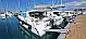 Bali Catsmart - 