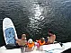 Tarpon 42 TP - 