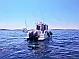 Beneteau Barracuda 8 - 