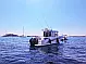 Beneteau Barracuda 8 - 