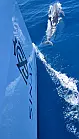 Sunreef 60 - 