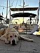 Sun Odyssey 45 - 