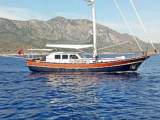 CARPEDIEM CORAL - External image