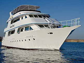 Custom Built  444 - External image