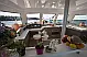 Bali Catspace - 