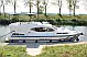 Haines 34 - 