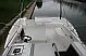 Haines 34 - 