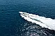 Mangusta 80 - 