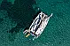 Lagoon 51 - 