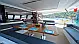 Alegria 67 - 