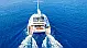 Alegria 67 - 