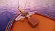 Motoryacht Tosca - 