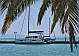 Lucia 40 (4 cab.) - 