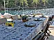 Gulet - Sylvia - 