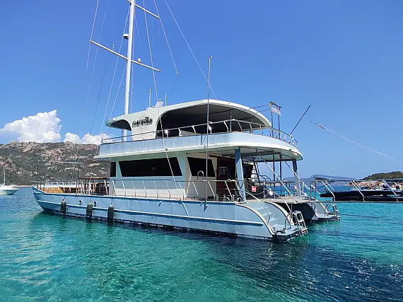 Motor Sailor Catamaran
