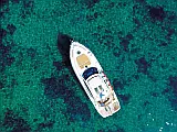 Cranchi Mediterranee 43 HT - Layout image