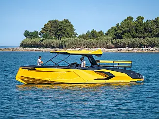 Raptor  - External image