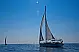 Bavaria Cruiser 41 - 