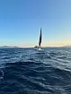 Dufour 530 Exclusive 2020 - 