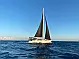 Dufour 530 Exclusive 2020 - 