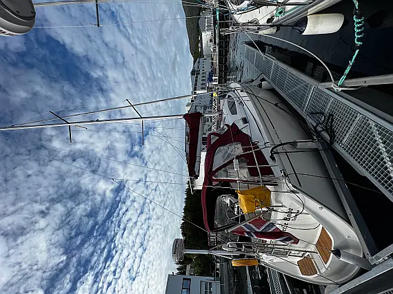 Delphia 33